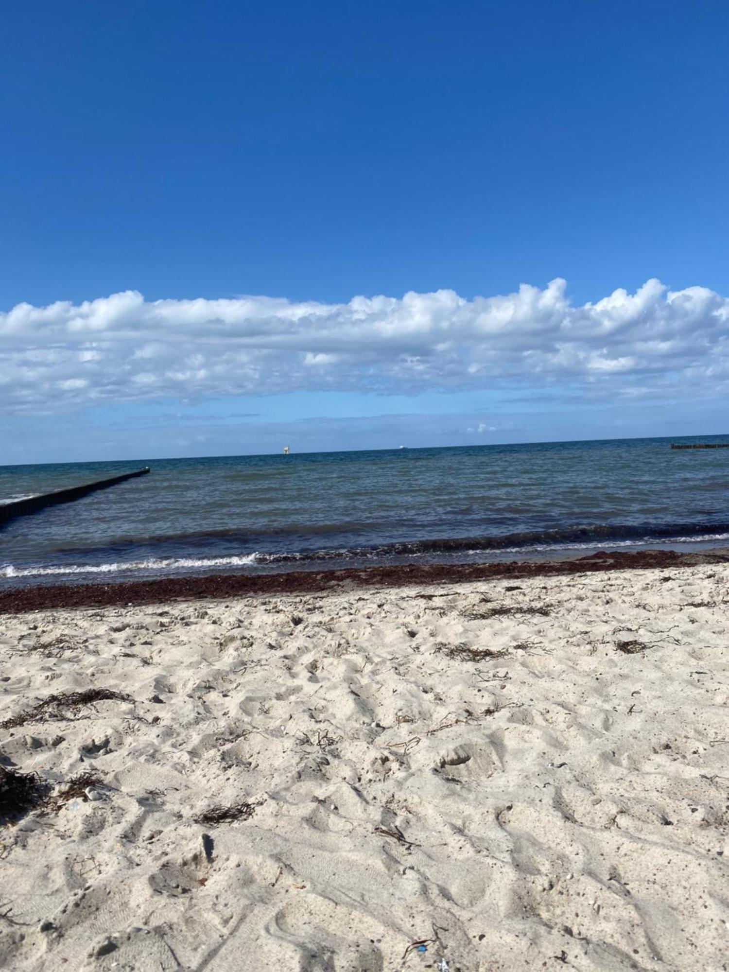 Apartment Ostsee-ferienwohnung-lipsia *